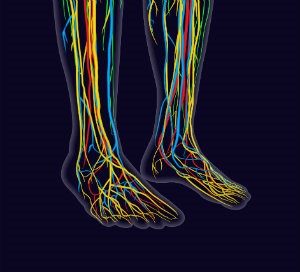 Nerves affect the feeling in feet